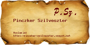 Pinczker Szilveszter névjegykártya